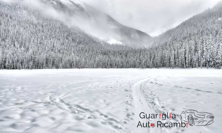 Radiatore Auto Autoricambi Guariglia